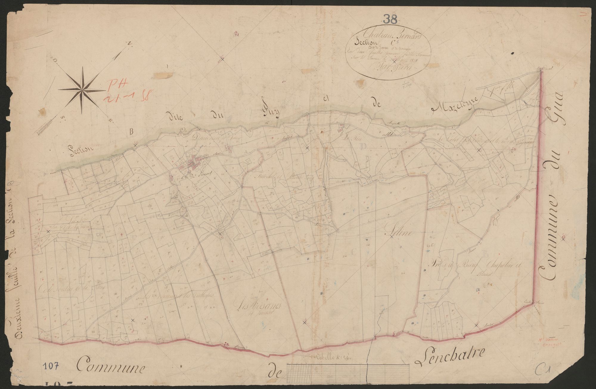 4P4/243 Section C