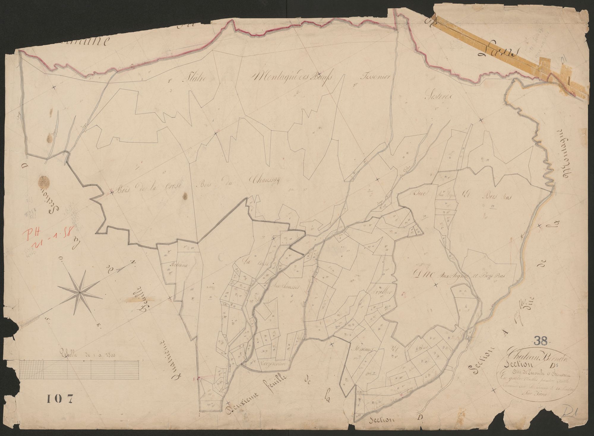 4P4/243 Section D