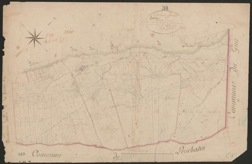 4P4/243 Section C