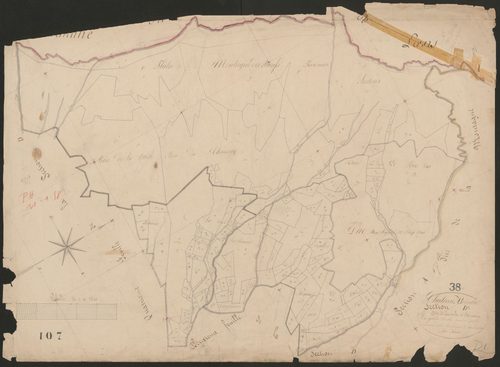 4P4/243 Section D