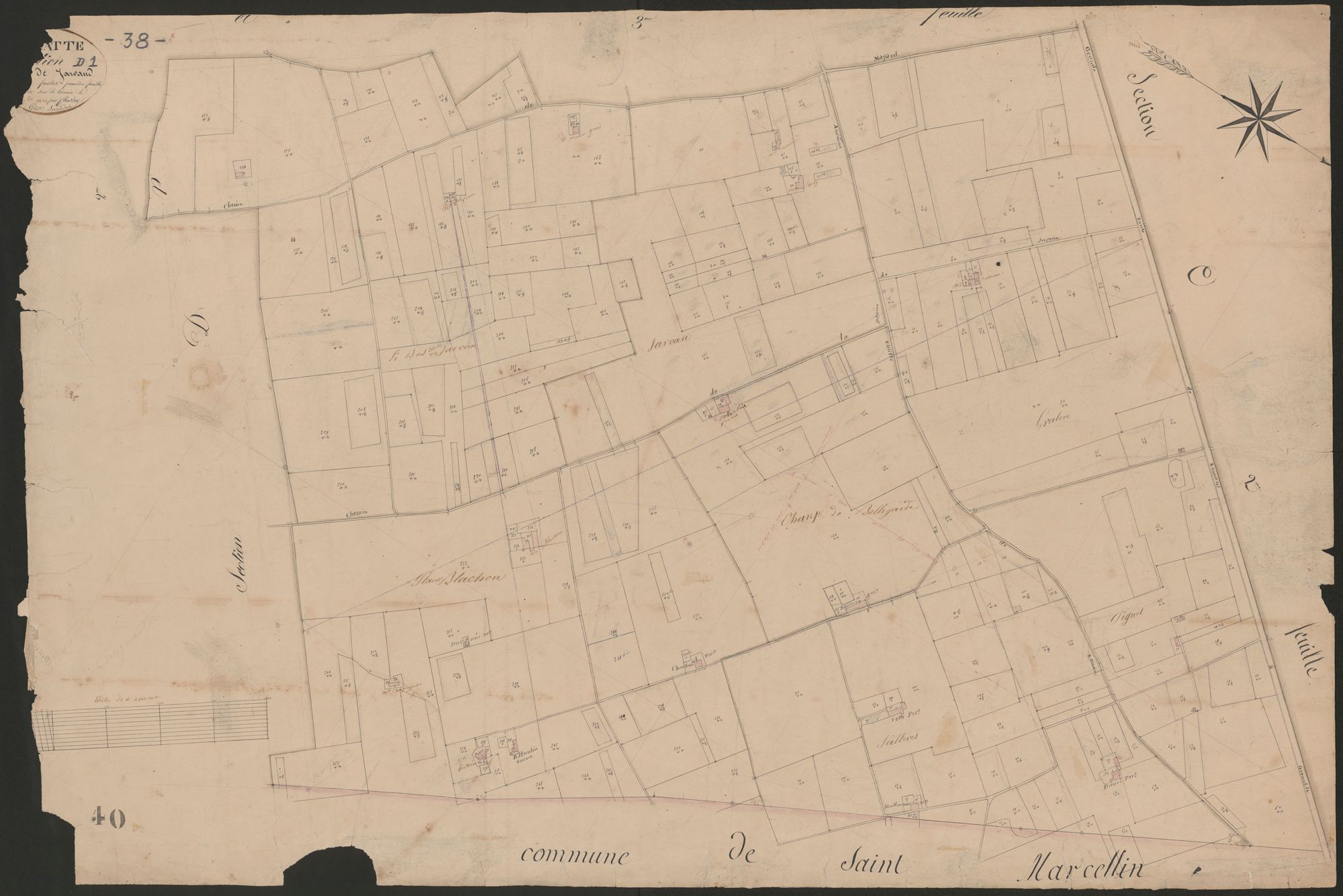 4P4/359 Section D