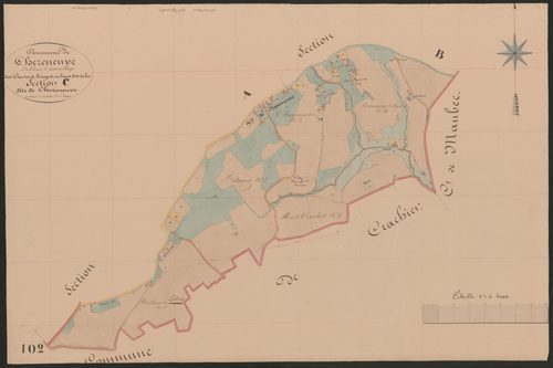 4P4/453 Section C
