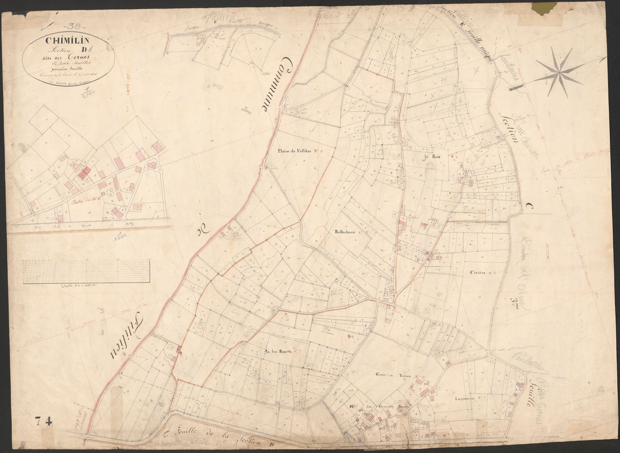 4P4/33 Section D