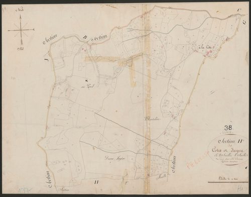 4P4/246 Section H