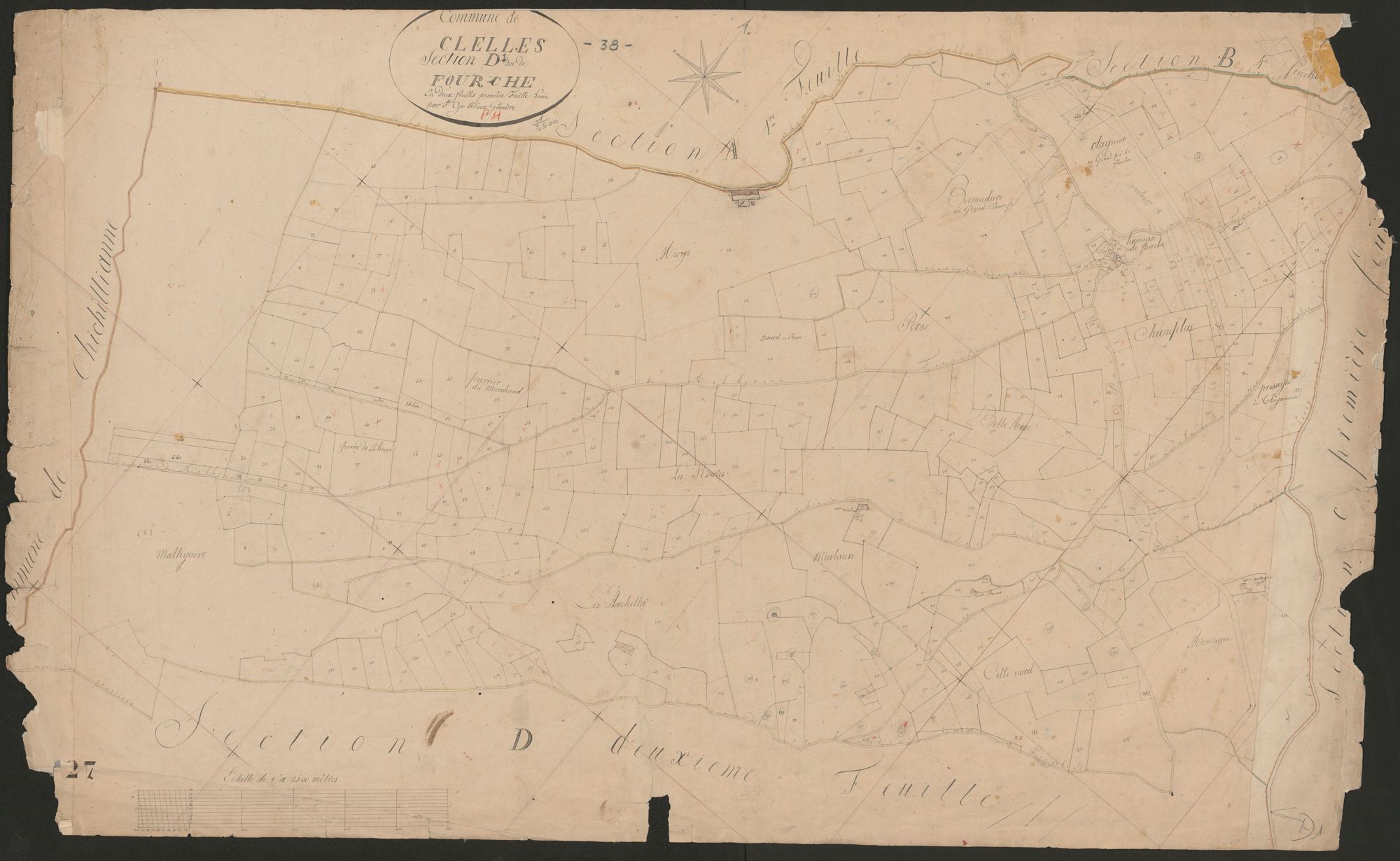 4P4/248 Section D
