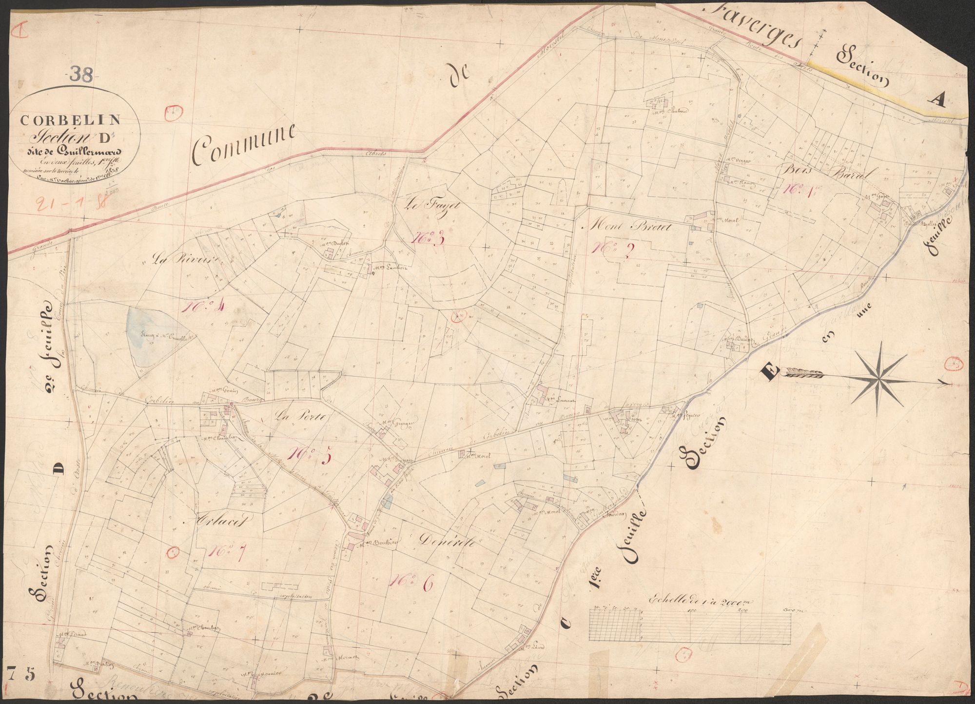 4P4/36 Section D