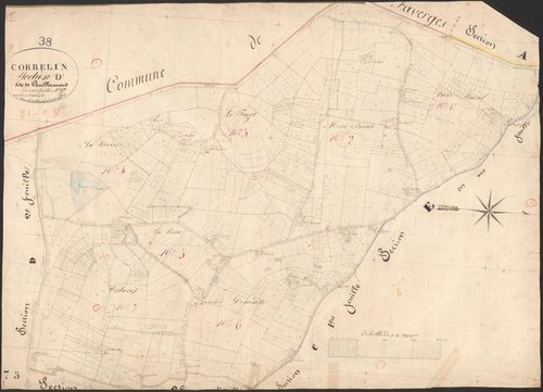 4P4/36 Section D