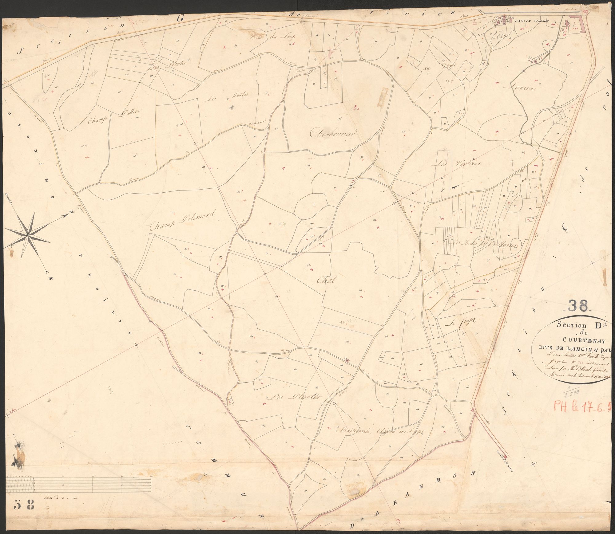 4P4/37 Section D