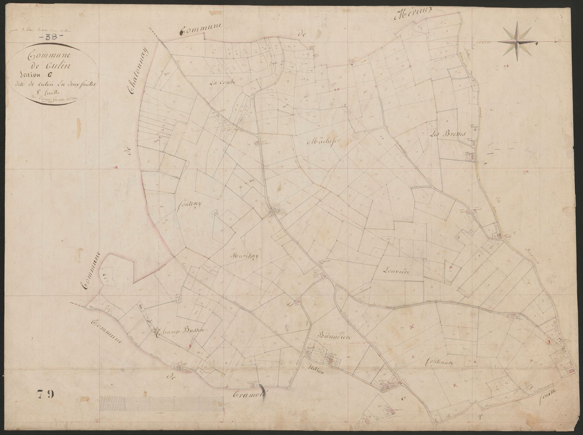 4P4/461 Section C