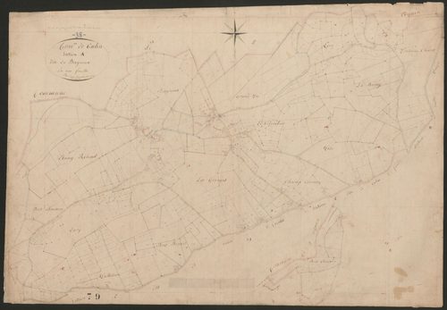 4P4/461 Section A