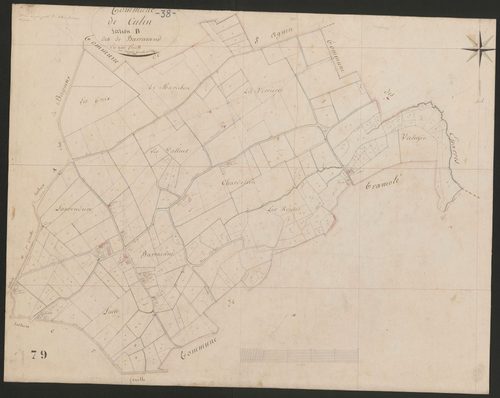 4P4/461 Section B