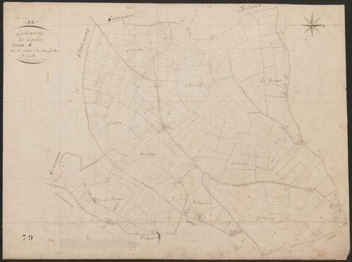 4P4/461 Section C