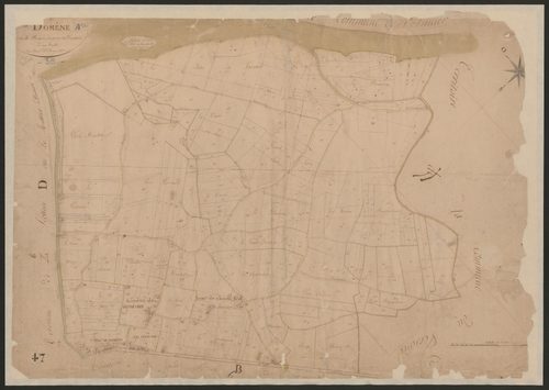 4P4/153 Section A