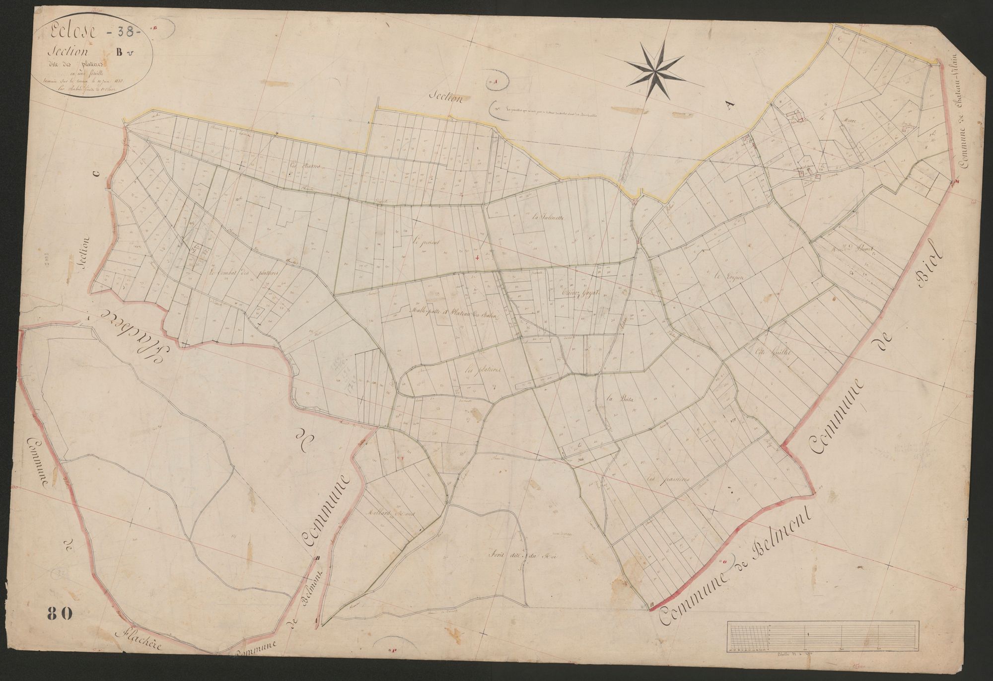 4P4/463 Section B