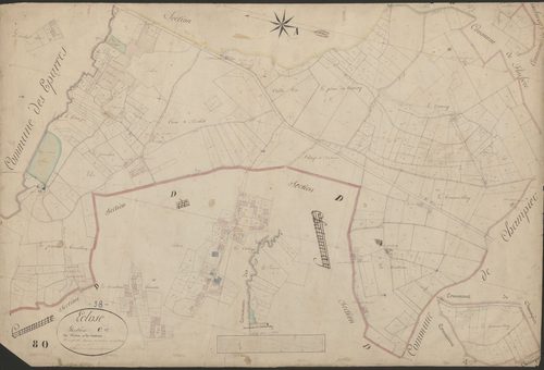4P4/463 Section C