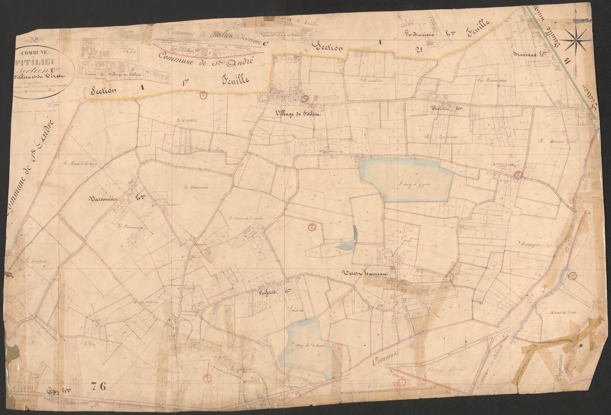 4P4/49 Section C