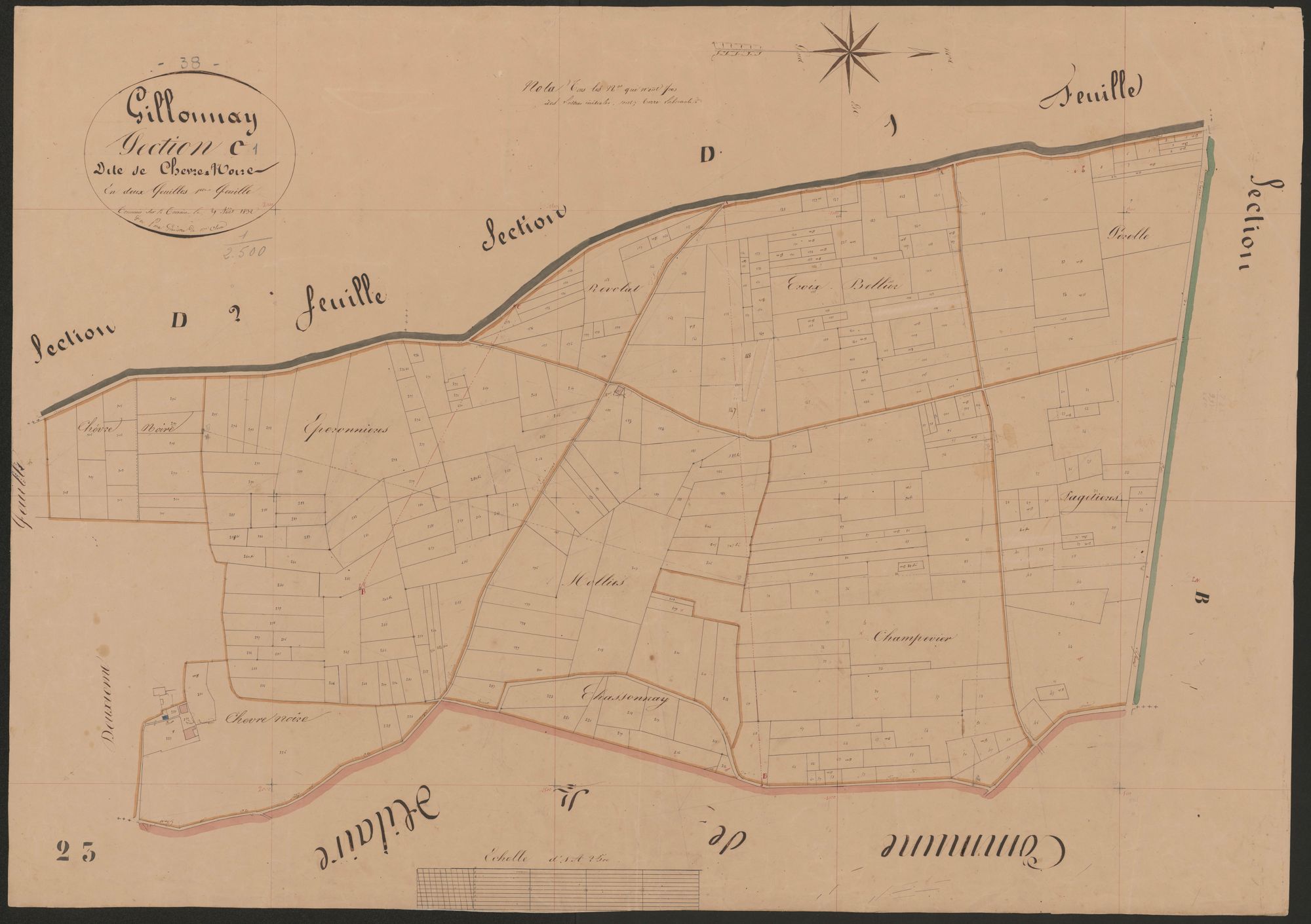 4P4/468 Section C