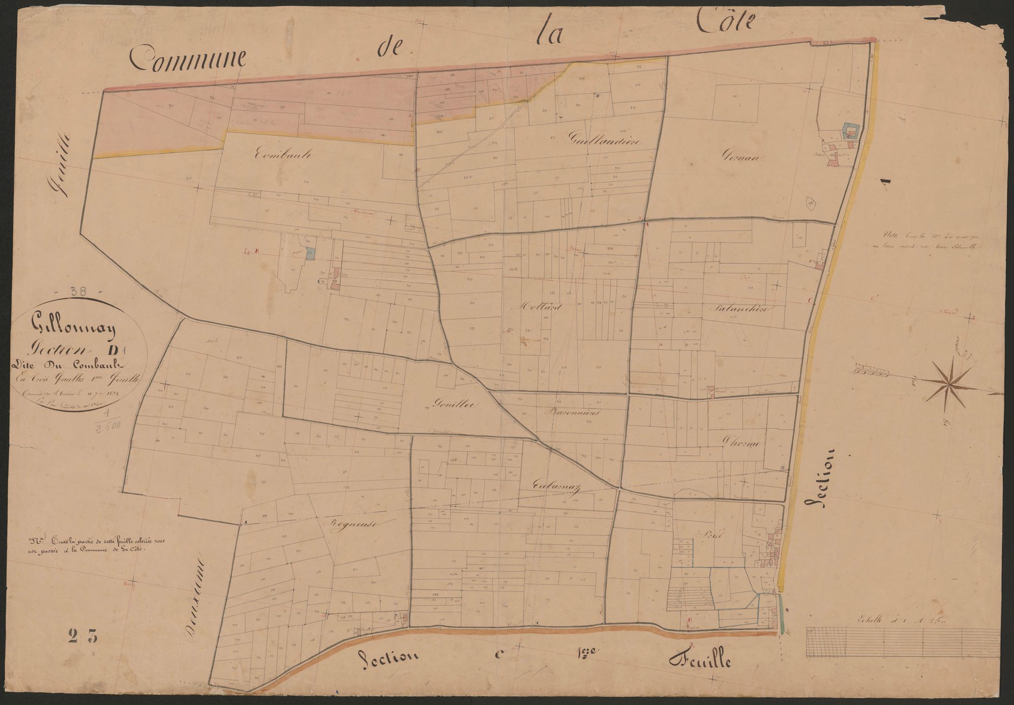 4P4/468 Section D