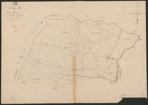 4P4/262 Section D