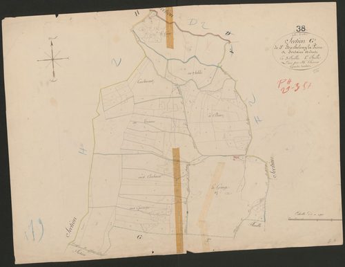 4P4/262 Section G