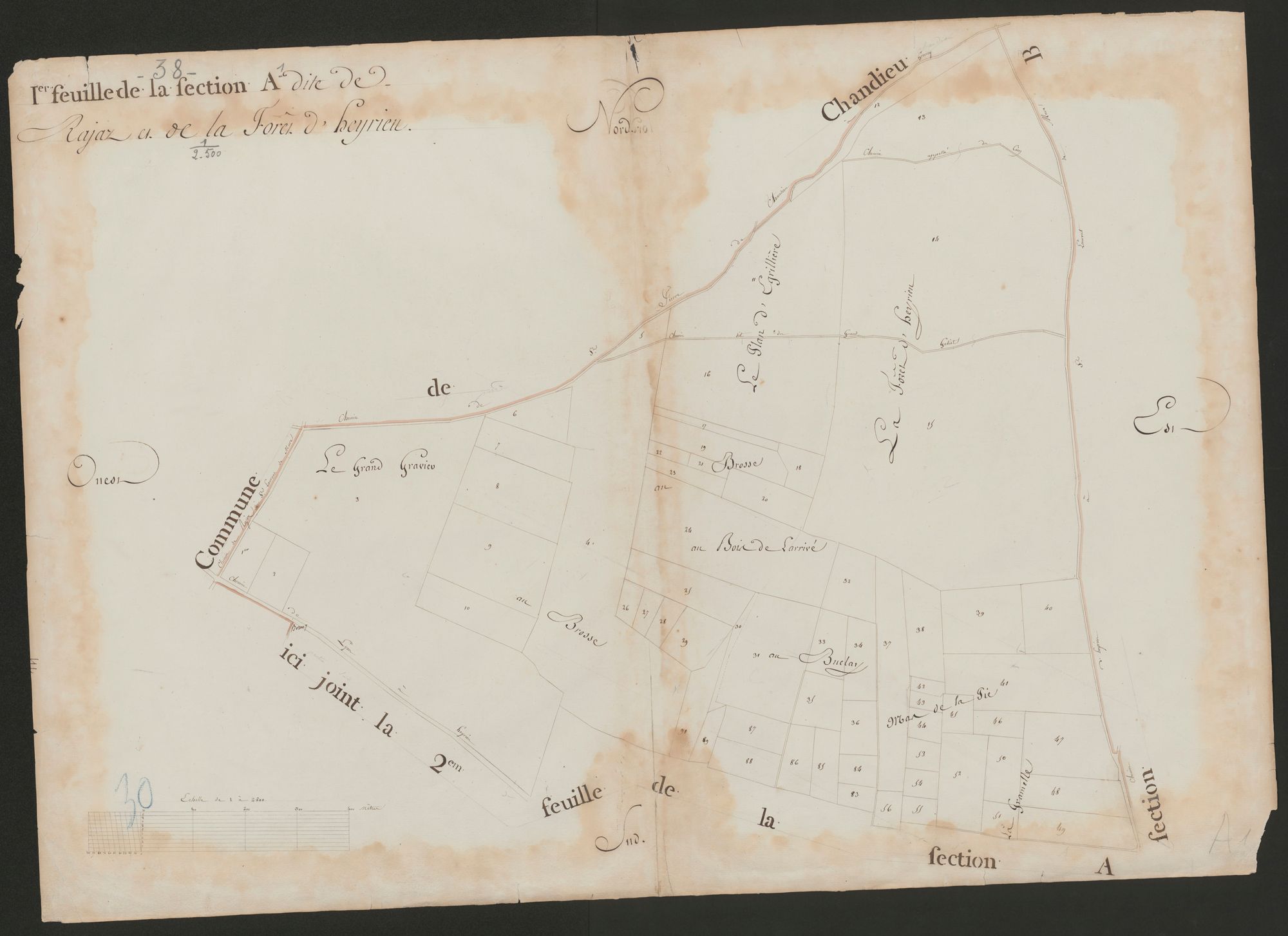 4P4/470 Section A