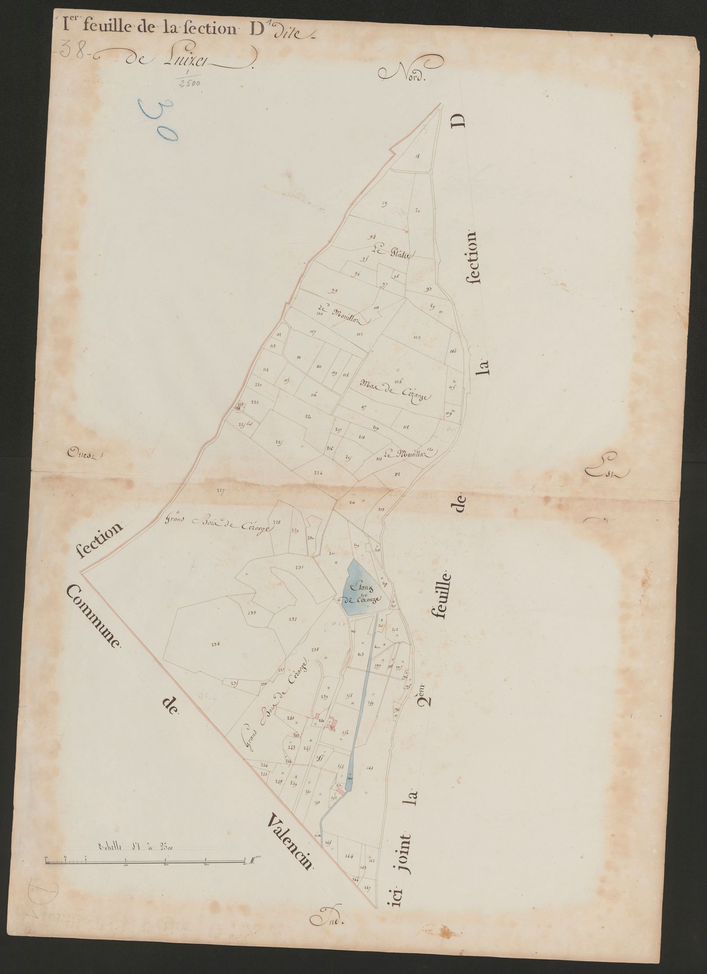 4P4/470 Section D