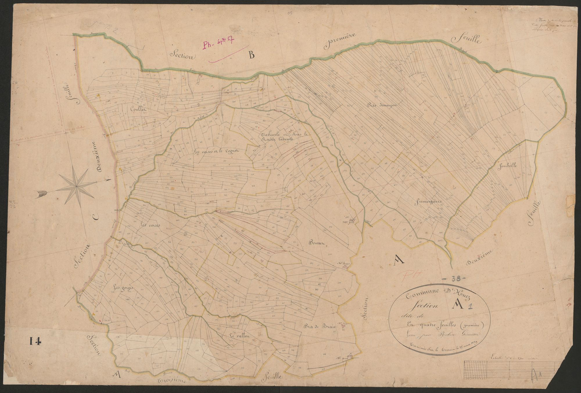 4P4/263 Section A