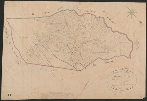 4P4/263 Section D