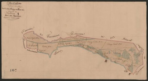 4P4/471 Section C