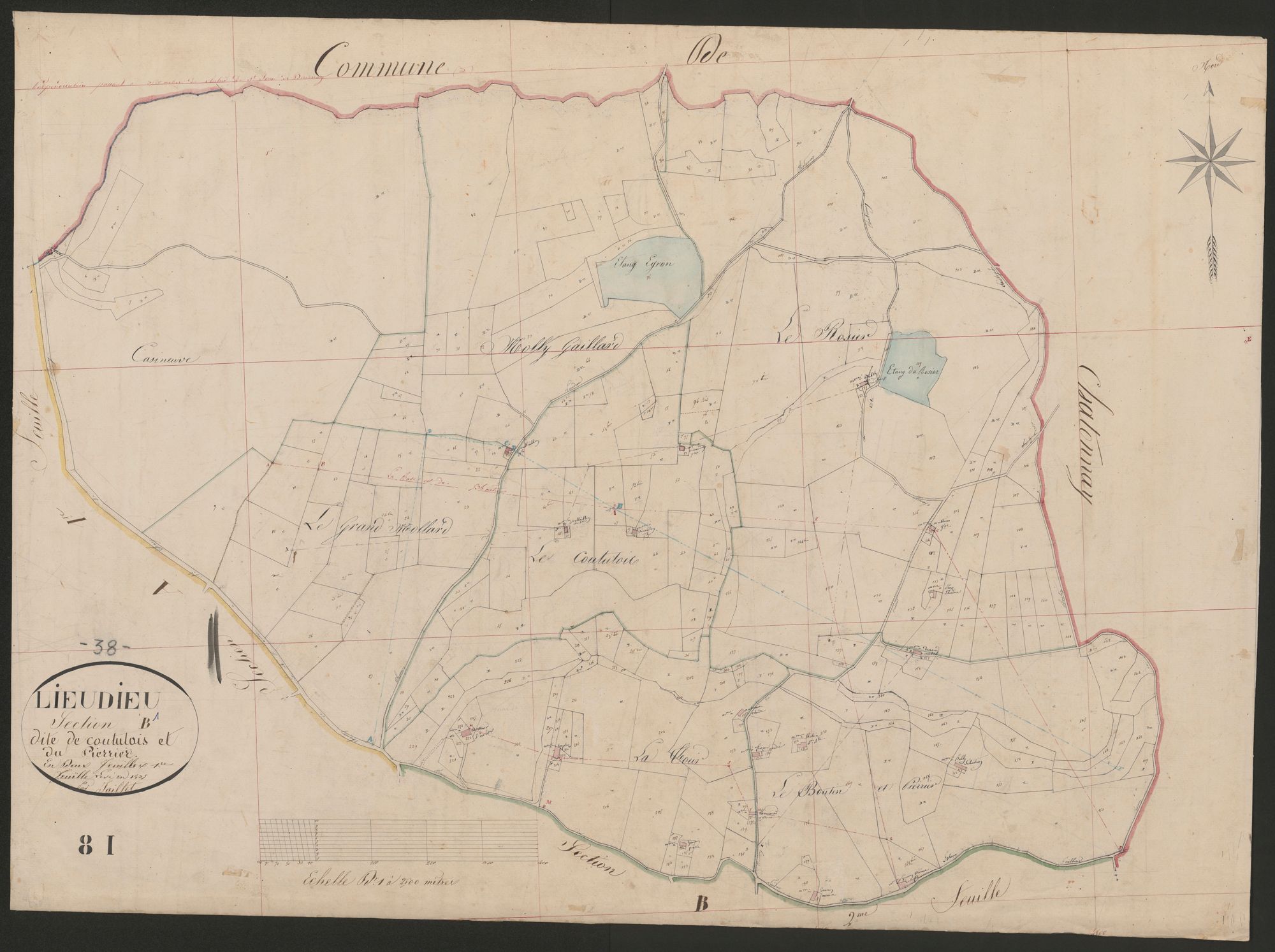 4P4/475 Section B