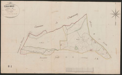4P4/475 Section A