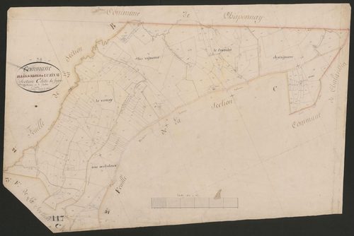 4P4/476 Section C