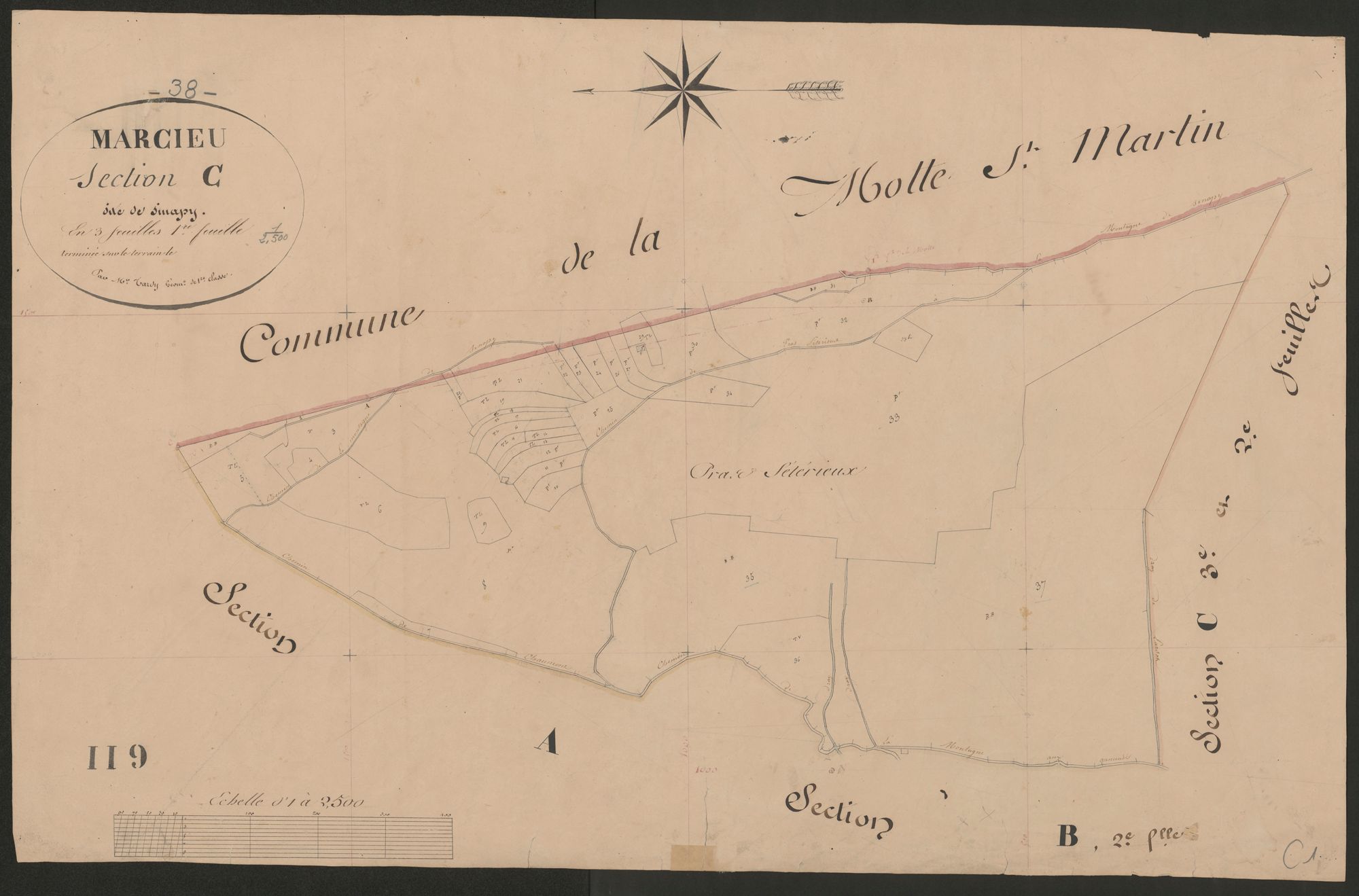 4P4/269 Section C