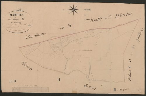 4P4/269 Section C