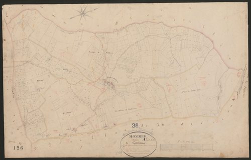 4P4/479 Section A