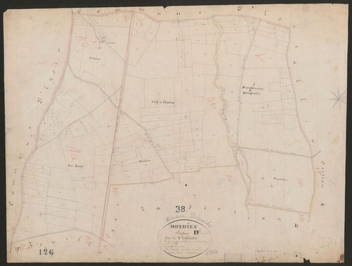 4P4/479 Section D
