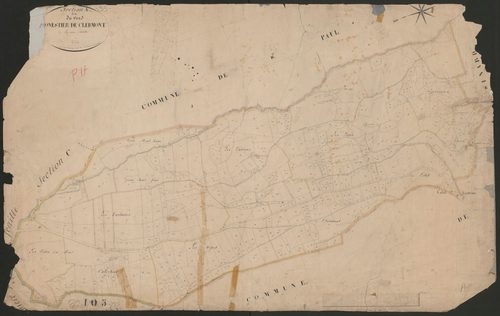 4P4/276 Section A