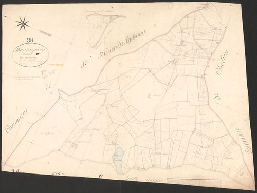 4P4/65 Section D