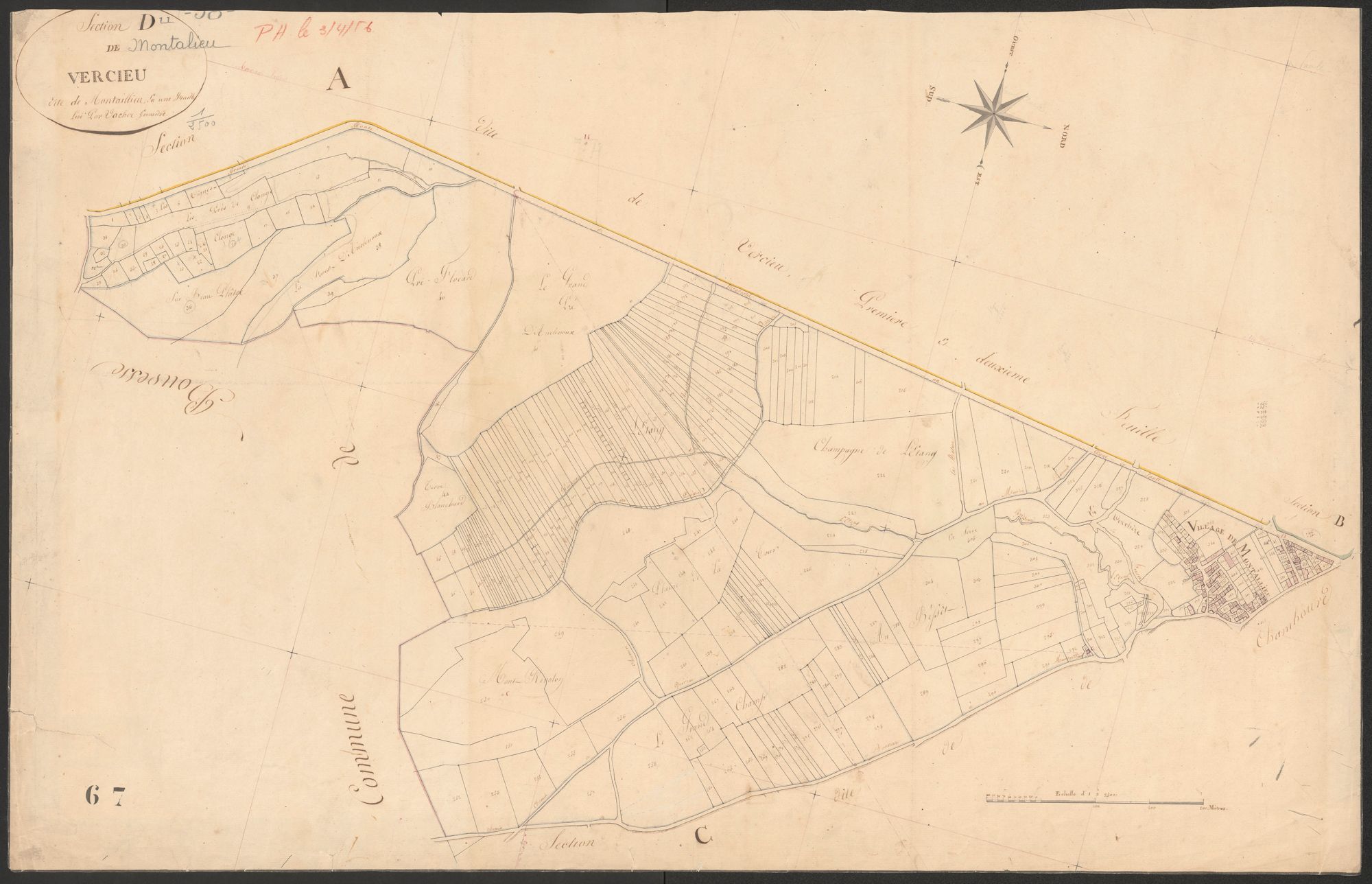 4P4/62 Section D