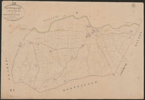 4P4/377 Section C