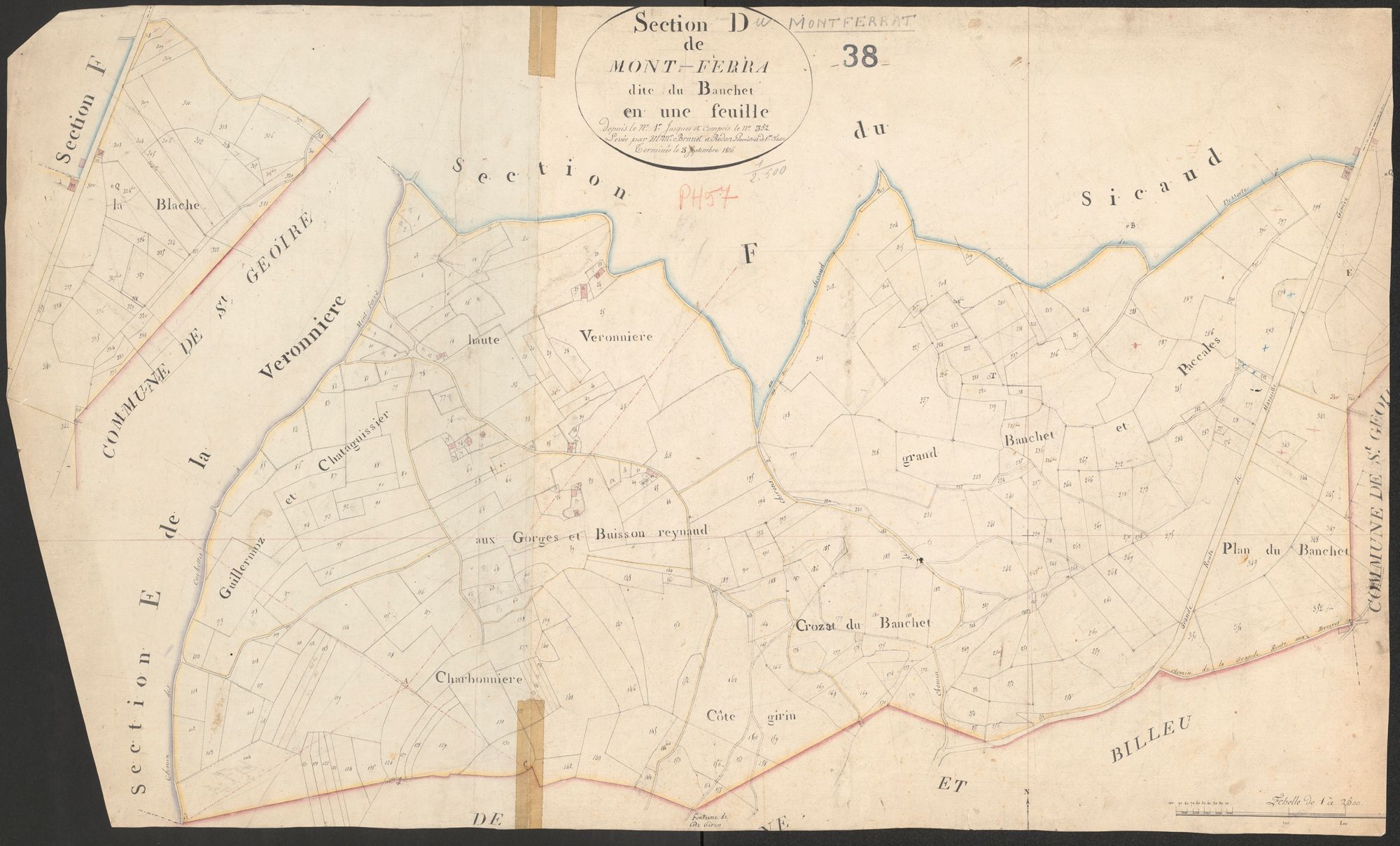 4P4/64 Section D