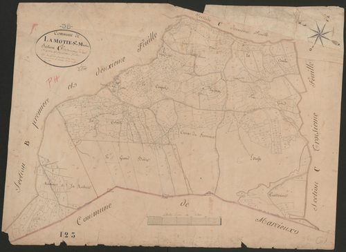 4P4/282 Section C