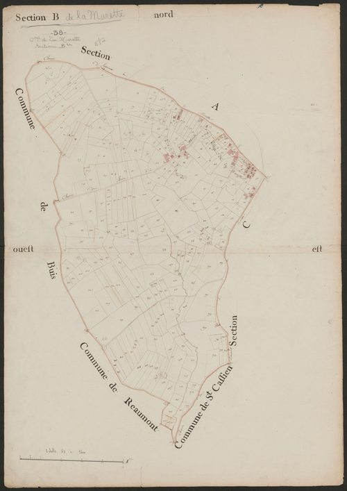 4P4/379 Section B
