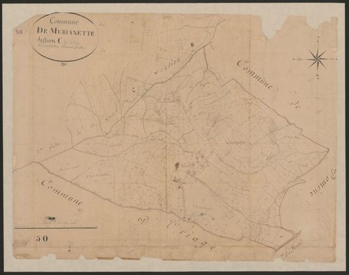 4P4/177 Section C