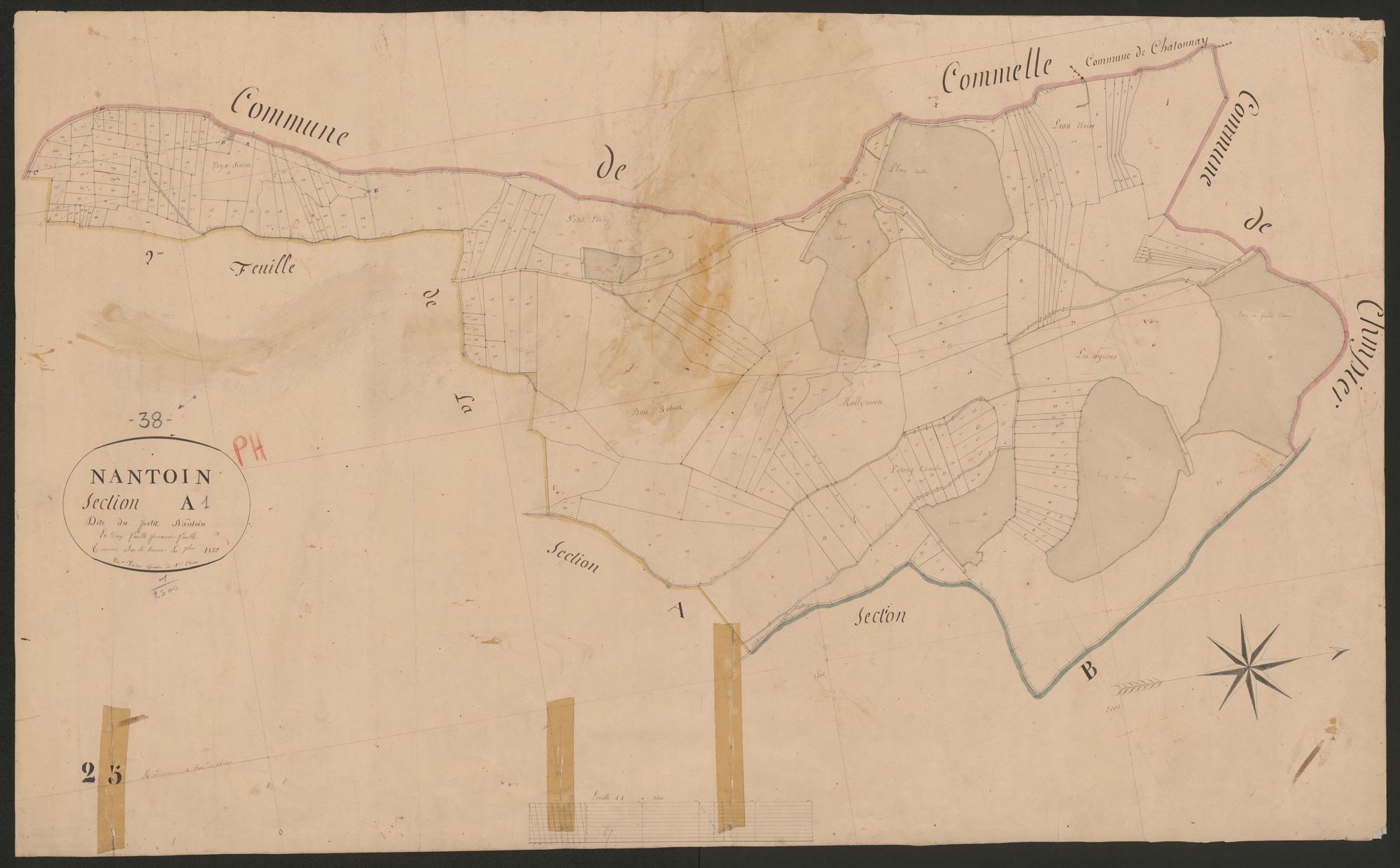 4P4/484 Section A