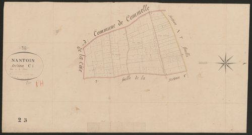 4P4/484 Section C