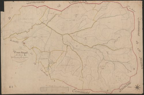 4P4/394 Section A