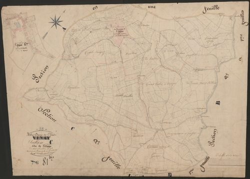 4P4/381 Section C