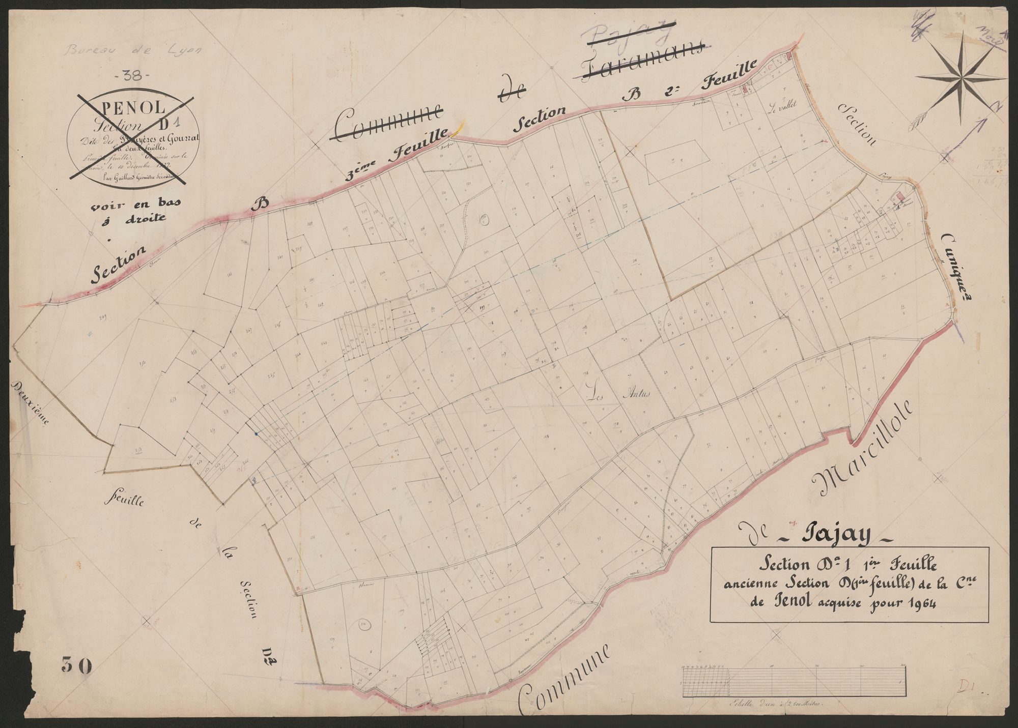 4P4/488 Section D