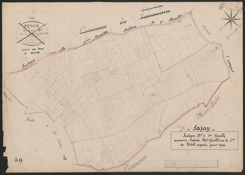 4P4/488 Section D